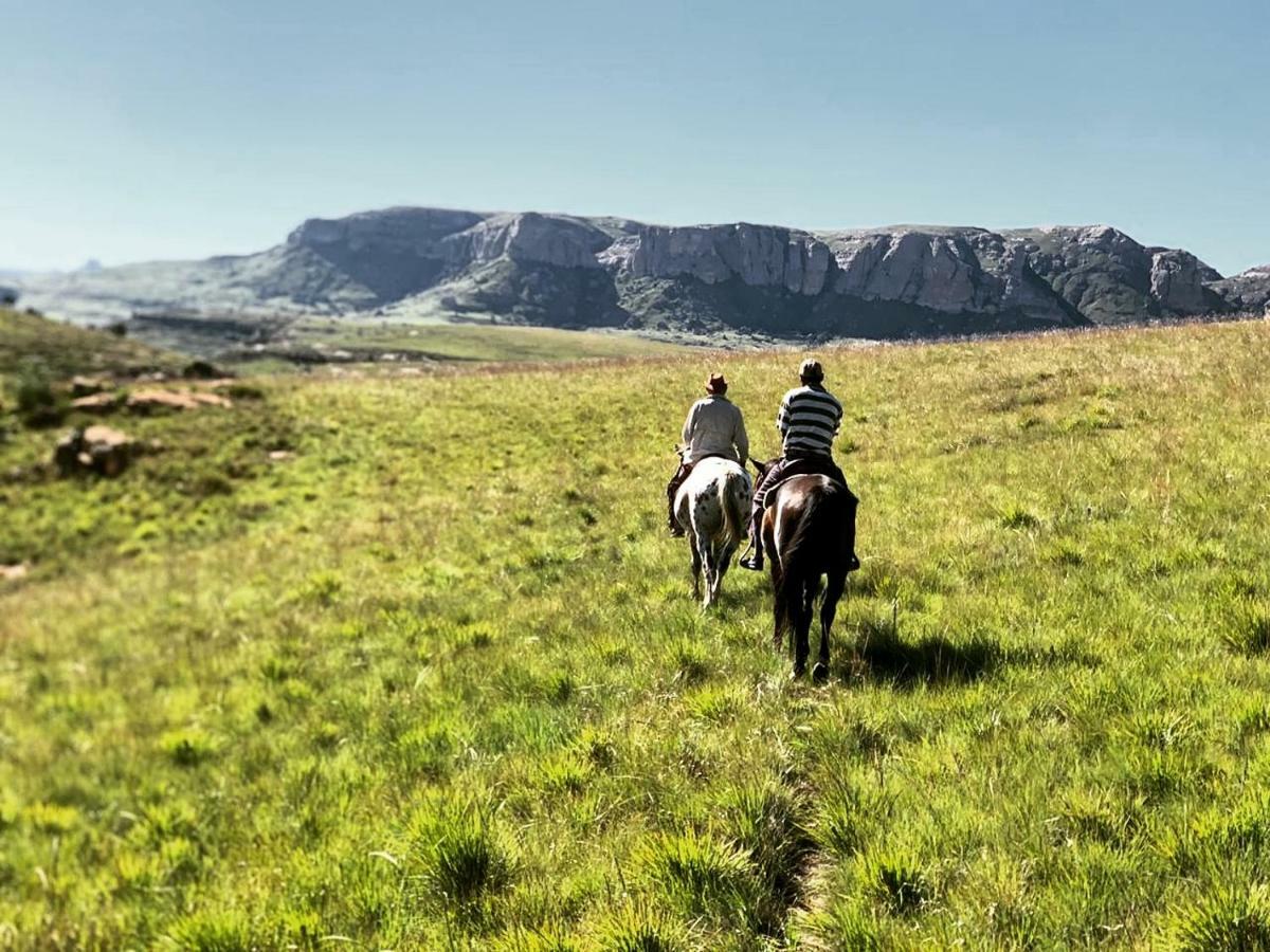 Wild Horses Lodge Harrismith Exterior photo
